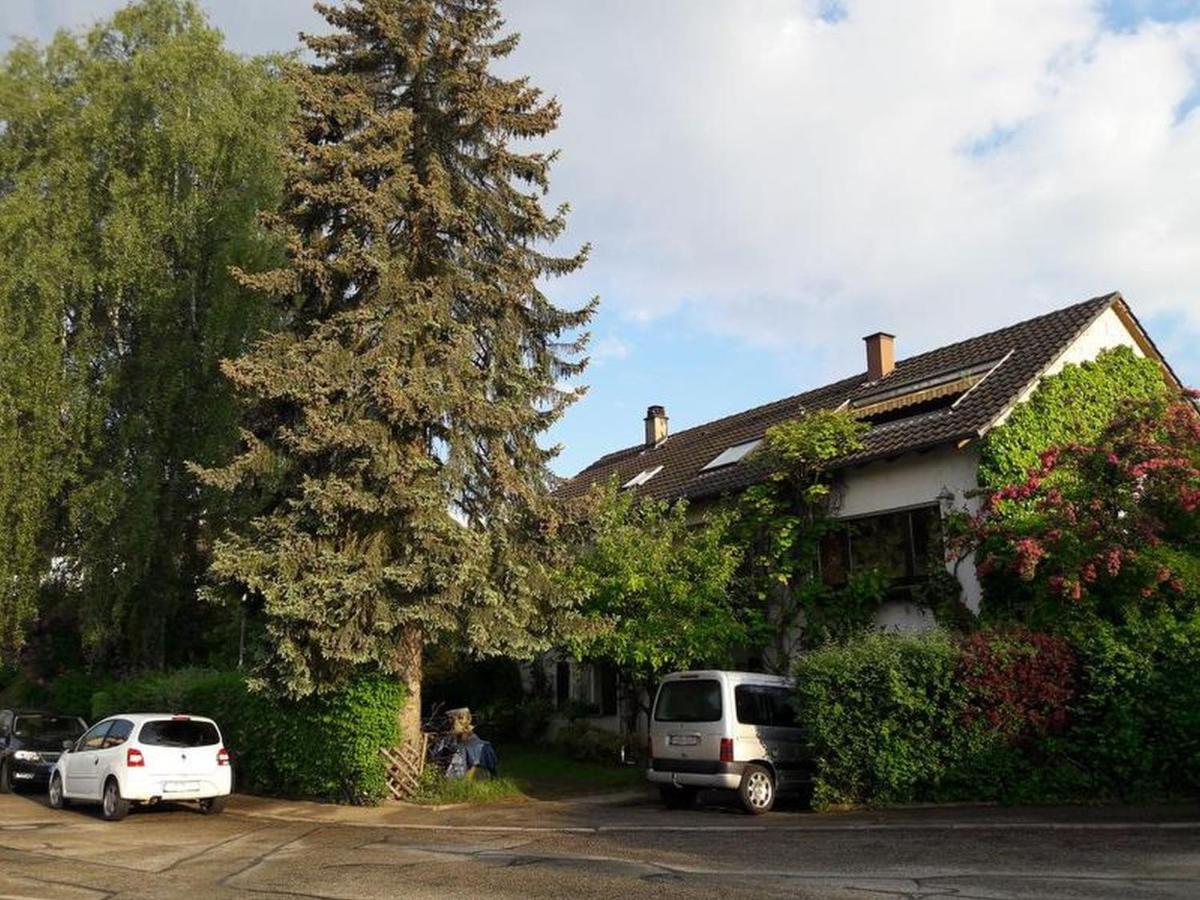 Ferienwohnung Haus zur Bienenweide Schömberg Exterior foto